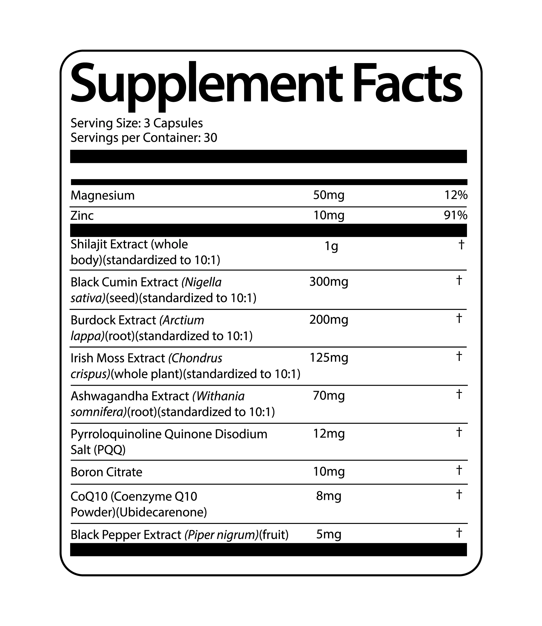 The Modern World Survival Stack - Image 5